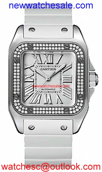 Cartier Santos de Cartier WM50460M Ladies