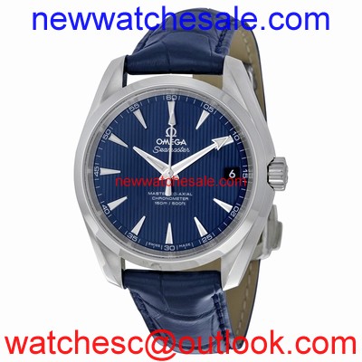 Omega 231.13.39.21.03.001 Stainless Steel