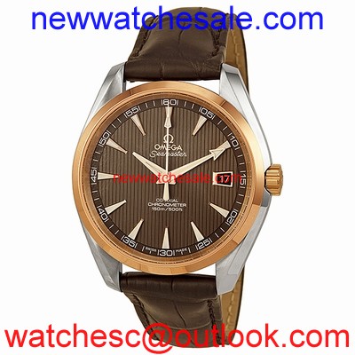 Omega Seamaster Aqua Terra 23123422106001 Stainless Steel