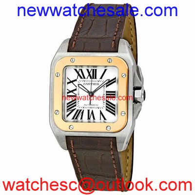 Cartier Santos de Cartier W20107X7 Swiss Made