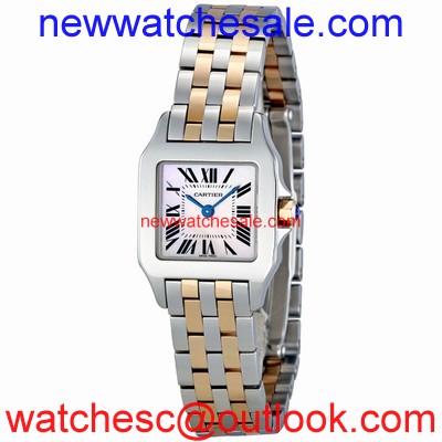 Cartier Santos de Cartier W25074Y9 Swiss Made