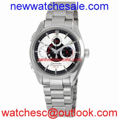 Omega Seamaster Aqua Terra 2513.30 Stainless Steel
