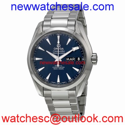Omega 231.10.39.22.03.001 Stainless Steel