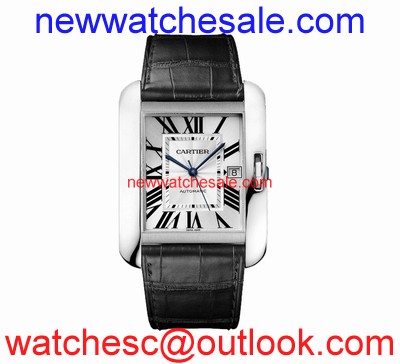 Cartier W5310033 Mens