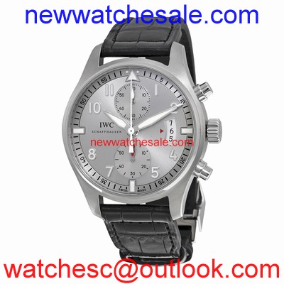 IWC IW387809 Silver