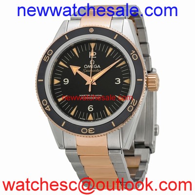 Omega 233.20.41.21.01.001 Swiss Made