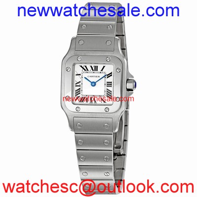 Cartier Santos de Cartier W20056D6 Stainless Steel