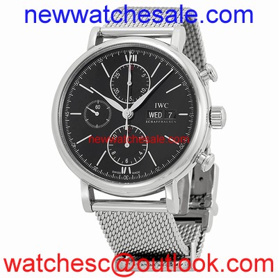 IWC Portofino IW391010 Stainless Steel