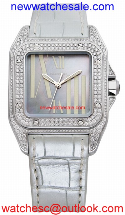 Cartier Santos de Cartier WM503251 Swiss Made