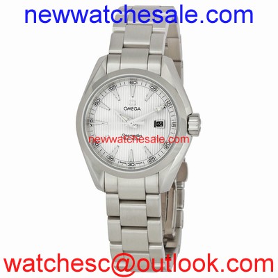 Omega Seamaster Aqua Terra 231.10.30.61.02.001 Quartz