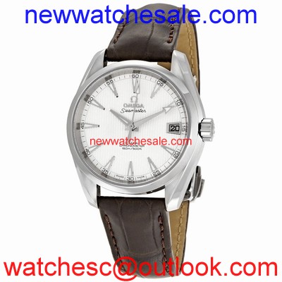 Omega Seamaster Aqua Terra 231.13.39.21.02.001 Swiss Made