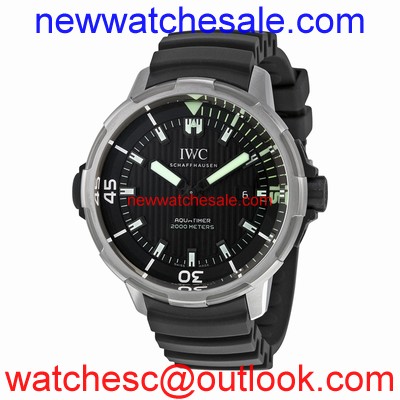 IWC IW358002 Titanium