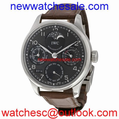 IWC Portuguese IW502307 Mens