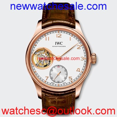 IWC Portuguese IW546302 Silver-plated
